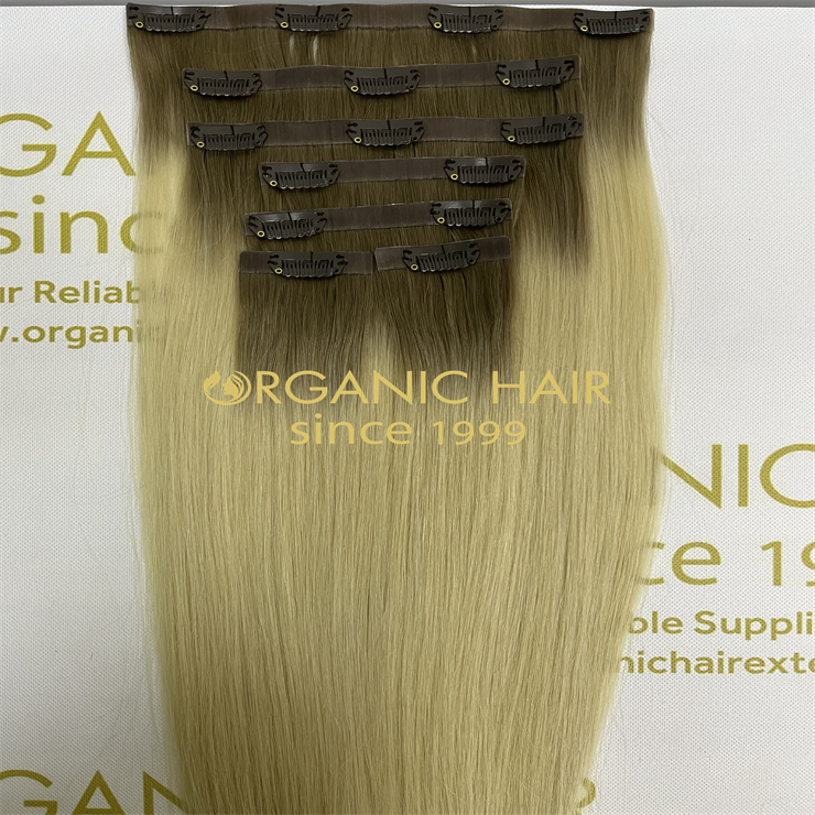 Best Clip In Human Hair Extensions on wholesale H13